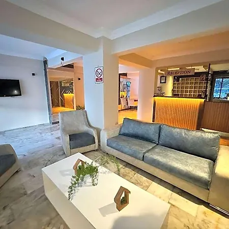 Erciyes Hotel 3*